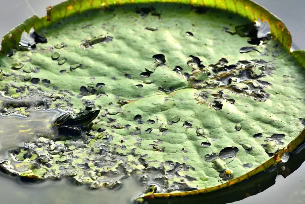 Výpověď Dohodou Ze Strany Zaměstnavatele