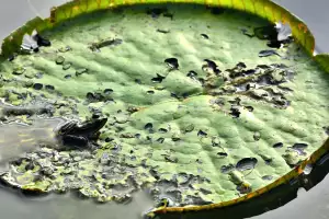 Výpověď Dohodou Ze Strany Zaměstnavatele